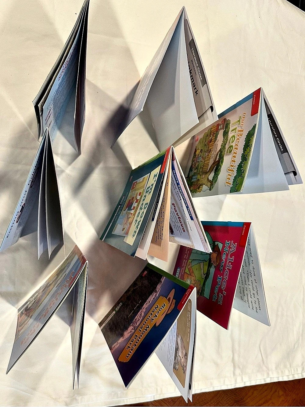 Book Multicolor Like New - Picture 3 of 3